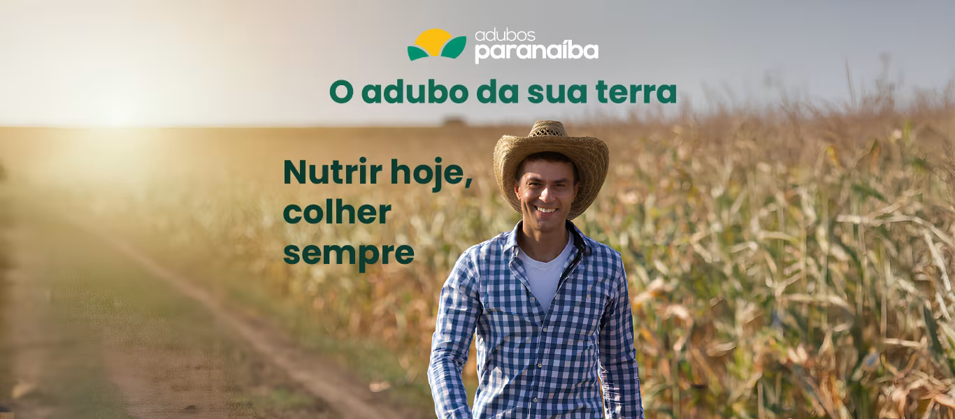 Primeiro slide