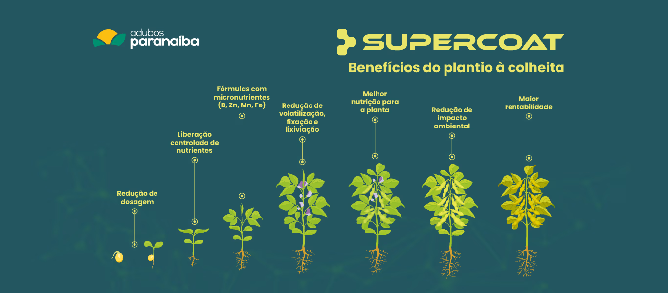 Segundo slide supercoat